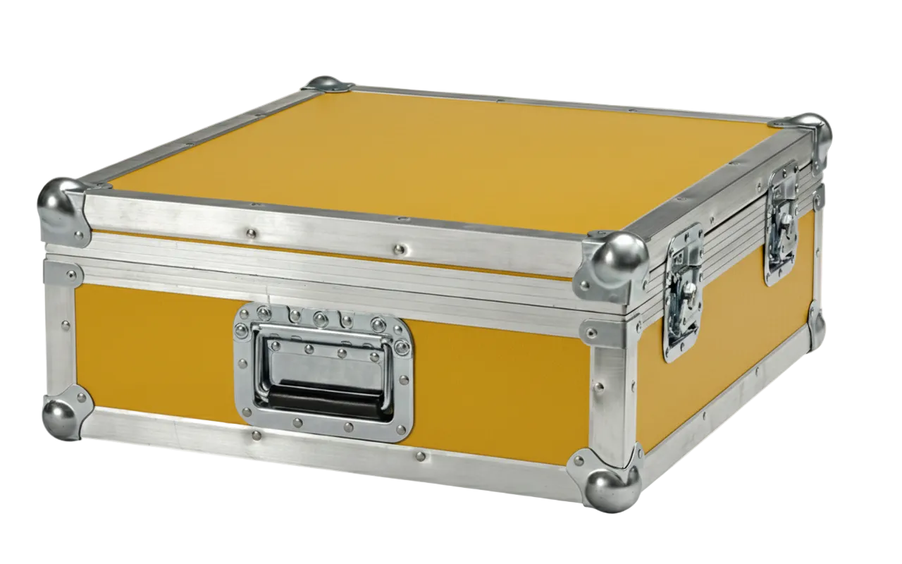 Custom Small Mixer Under 24" ATA Road Case – Carpet Lined