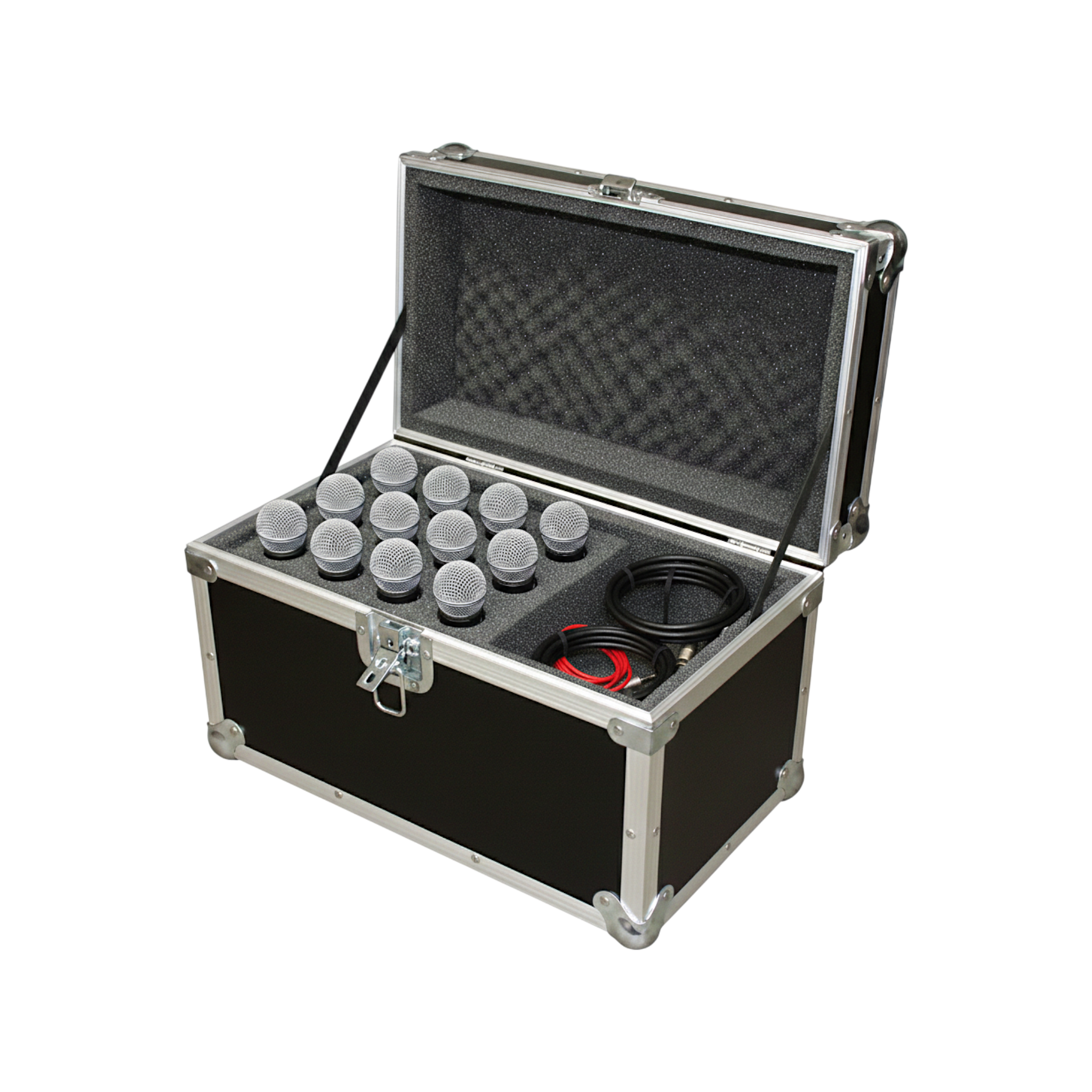 12 Microphones ATA Case with Wire Compartment