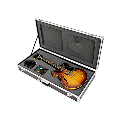 Guitar & Bass Instrument Cases